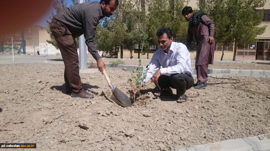 روز درختکاری 5